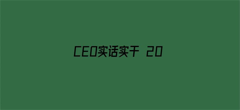 CEO实话实干 2010